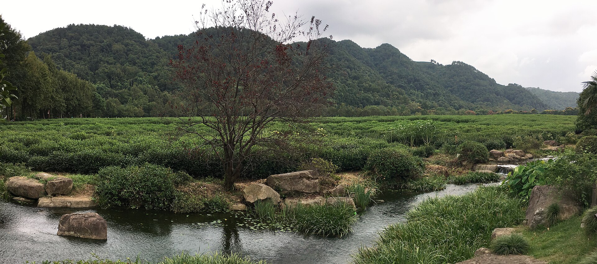 China National Tea Museum gallery image 1
