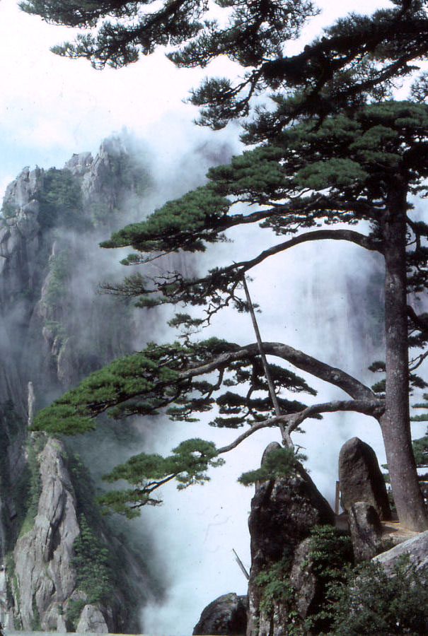 Mount Huangshan (Yellow Mountain) gallery image 5