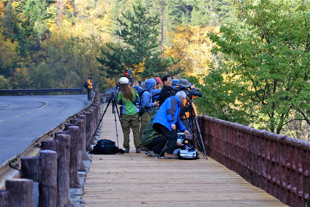Jiuzhaigou Valley gallery image 3
