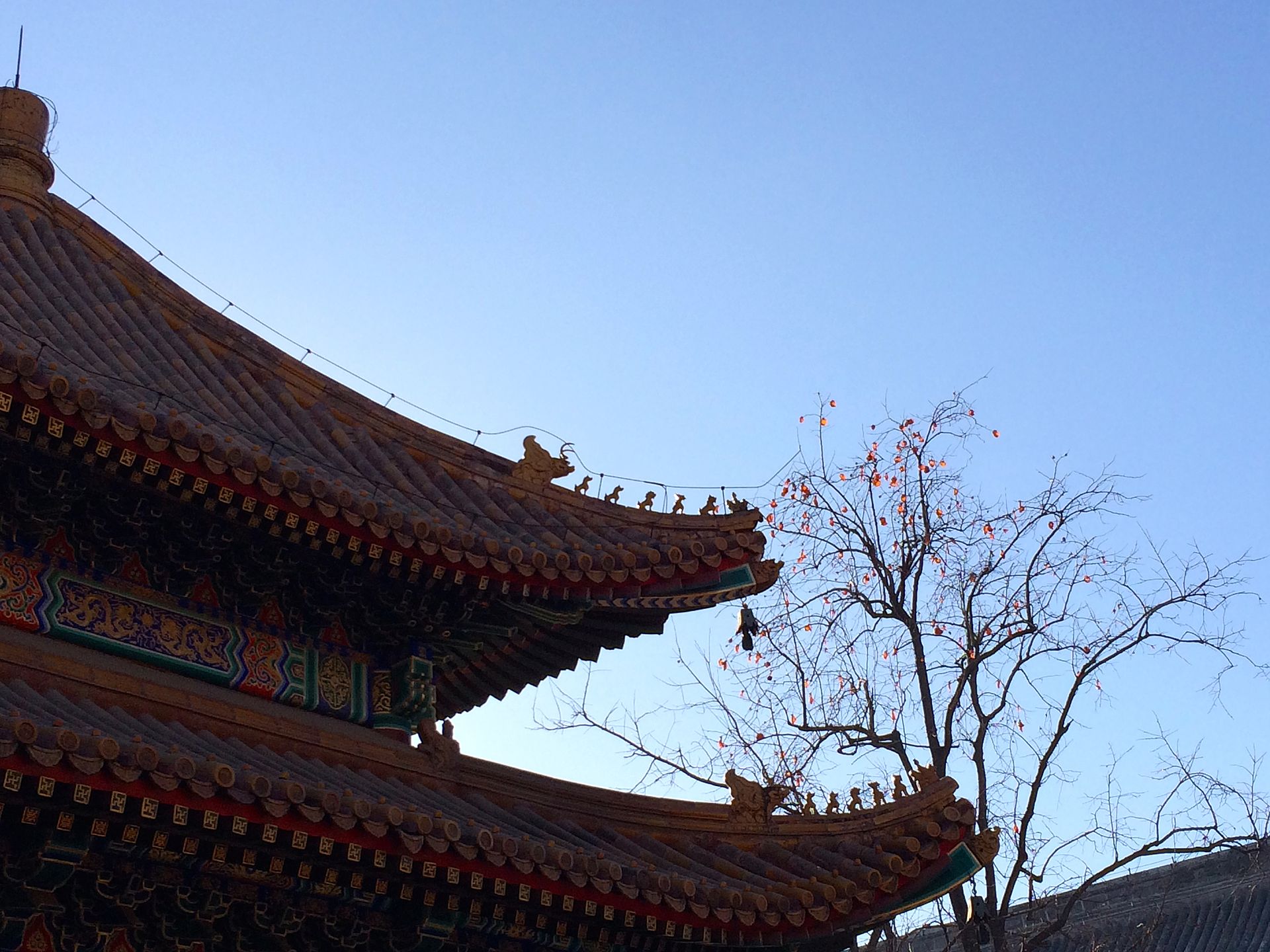 Lama Temple (Yonghe Gong) gallery image 1