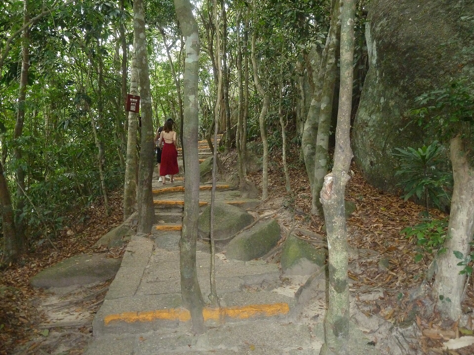 Yalong Bay Tropical Paradise Forest Park
