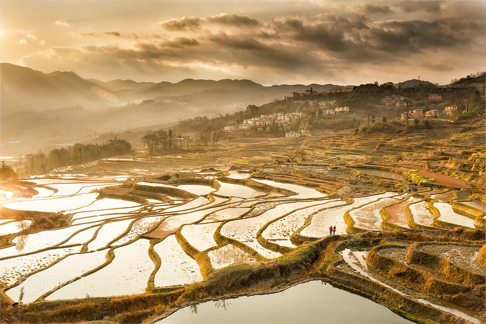 Yuanyang Rice Terraces